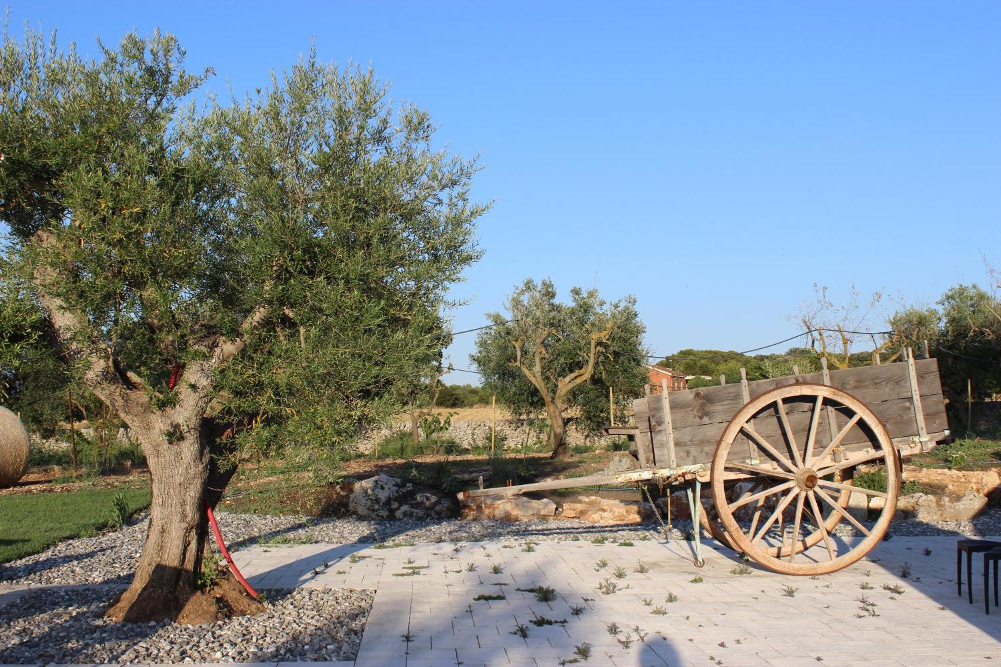 Masseria Stella โจเยีย เดล คอลเล ภายนอก รูปภาพ